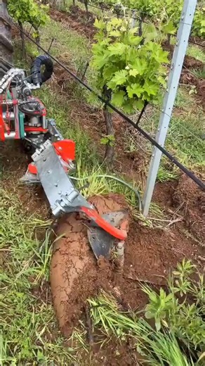 Cultivator radius D with crearing body in action