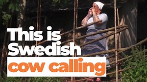 5K views · 107 reactions | Sound on, eardrums ready. This is kulning, Swedish cow calling ️ | The Local Sweden | Facebook