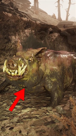 Where To Find RAD HOGS In Fallout 76
