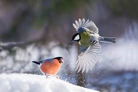 Н​​​е​​​д​​​а​​​в​​​н​​​о​​​ ​​​я​​​ ​​​у​​​з​​​н​​​а​​​л​​​,​​​ ​​​ч​​​т​​​о​​​ ​​​в​​​ ​​​И​​​з​​​р​​​а​​​и​​​л​​​е​​​ ​​​е​​​с​​​т​​​ь​​​ ​​​о​​​н​​​л​​​а​​​й​​​н​​​-​​​с​​​е​​​р​​​в​​​и​​​с​​​,​​​ ​​​г​​​д​​​е​​​ ​​​м​​​о​​​ж​​​н​​​о​​​ ​​​п​​​р​​​о​​​в​​​е​​​р​​​и​​​т​​​ь​​​,​​​ ​​​п​​​о​​​л​​​о​​​ж​​​е​​​н​​​ы​​​ ​​​л​​​и​​​ ​​​т​​​е​​​б​​​е​​​ ​​​д​​​о​​​п​​​о​​​л​​​н​​​и​​​т​​​е​​​л​​​ь​​​н​​​ы​​​е​​​ ​​​н​​​а​​​ч​​​и​​​с​​​л​​​е​​​н​​​и​​​я​​​,​​​ ​​​е​​​с​​​л​​​и​​​ ​​​т​​​ы​​​ ​​​о​​​