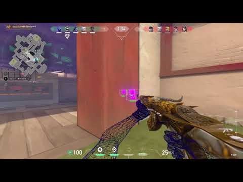 VALORANT Rage Cheating Pt 5 (ft. Wayking)🏆
