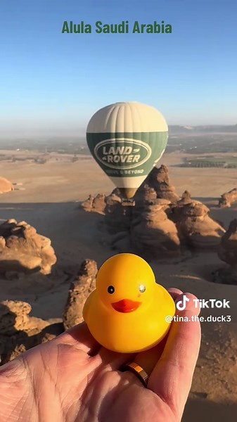 Tina traded the lake for the desert is she the first duck to visit Alula ? This place is magical #alula #alulamoments #ksa #ksa🇸🇦 #saudiarabia🇸🇦 #duck #hotairballoon #habitasalula