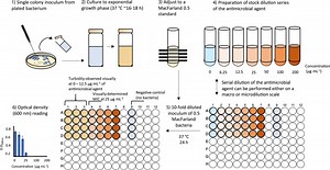 What is the purpose of broth dilution method? [2025] | QAQooking.wiki