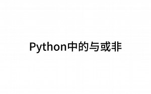 Python中的或与非