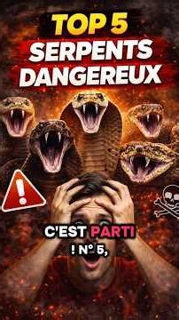 Ces serpents peuvent te tuer en minutes… 🐍
