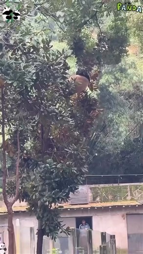 sim o evento de extinção em massa que dizimou os dinossauros mais conhecido como divisão da pangeia