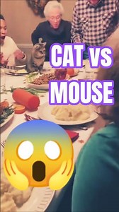 Cat vs Mouse on Dinner Table — Hilarious Chaos! 🐱💥🐭