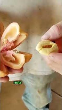 Aki Fruit A Delicious but Deadly Delicacy