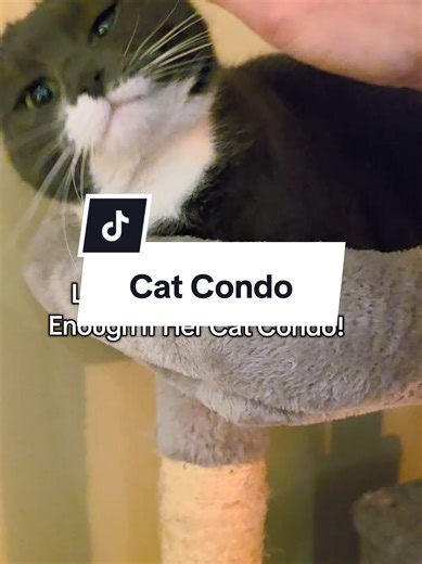 Luna Spends hours on this Cat Condo! From Sleeping & Playing to Guarding Her Kingdom, This Cat Condo is Her Home Base! Every Cat Deserves Their Very Own!! #catcondo #cattok #catmom #kittycat #cattree