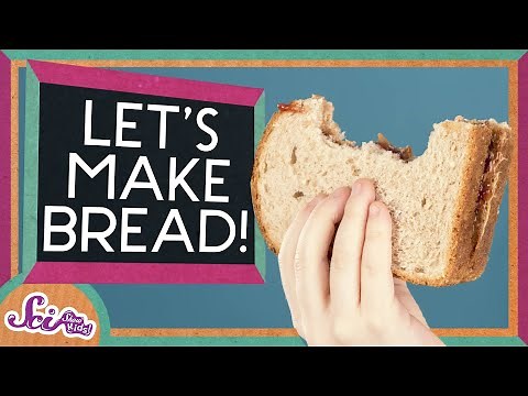 Why Does Bread Have Holes In It? | The Science of Cooking | SciShow Kids