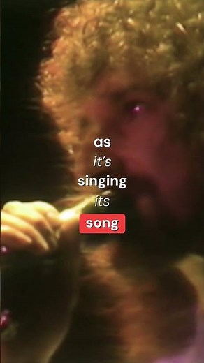 Life Is for Living by #BarclayJamesHarvest 🎤 Berlin: A Concert For The People #MusicHistory #Lyrics