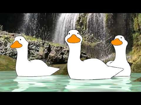 animated ducks - swimming