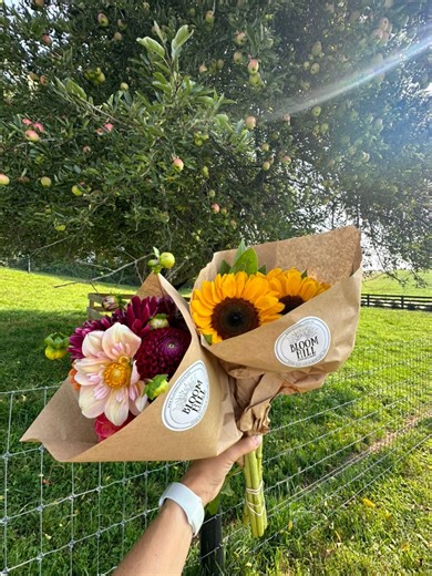 My little girl and I visited a local flower stand this morning. I’ve always wanted to stop by and I’m so glad I did. Some adorable goats greeted us! They were an added bonus. ❤️ We surprised Mimi with a bouquet of sunflowers. She loved them. 🌻 Bloom Hill Farm #supportlocal #shopsmall #flowers #sunflower #happy #joy #kristysketolifestyle | Kristyslifestyle
