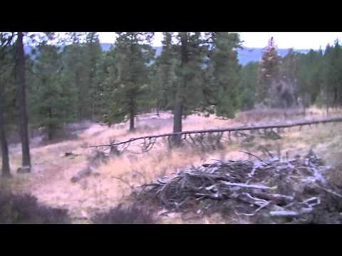 Big 5 X 5 buck shot with a Marlin 45-70 lever action rifle and a 400 grain bullet.