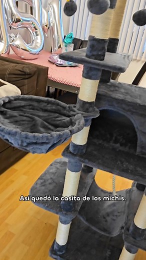 El rascador de michis 💪🏻 | Liza Baez