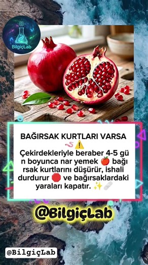 Narın gücünü hafife almayın! 💪 Bağırsak dostu bu meyve ile hem tazelenin hem korunun. Şifa olsun!🍎✨