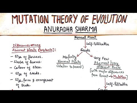 MUTATION THEORY OF EVOLUTION by Hugo de Vries