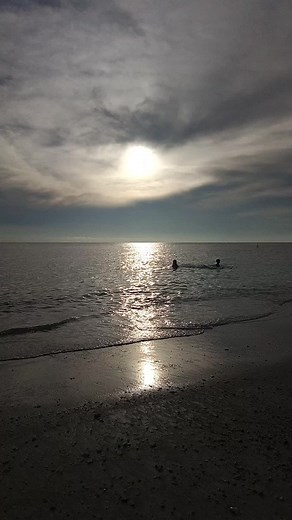 Greg Steve (@gregsteve)’s videos with Can You See My Heart - Shin Giwon Piano