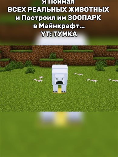 Building a Real Zoo with Animals in Minecraft