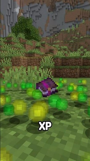 The ONLY Way to Get Enchants in Minecraft