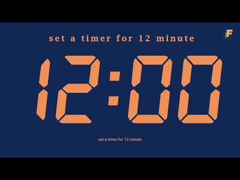 set a timer for 12 minute