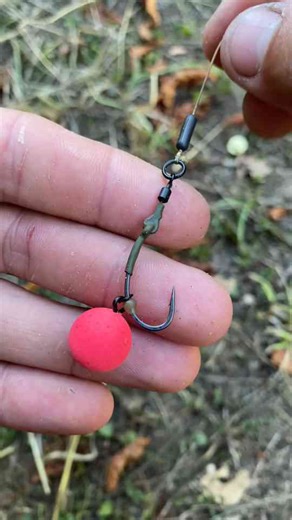 Perfect Carp Rig MontagePerfect Carp Rig Montage