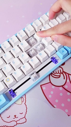 Testing out Akko CS Jelly White Switches - Sound Comparison & Review