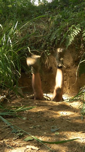 Cyprien Adventures on Instagram: "Perfect Survival Hole 🤣🔥 #funny #survival #trending"