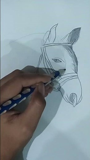 Horse Portrait Drawing with Pencil | Easy Shading Guide #artshorts #sketchful #art #drawing #sketch