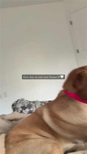 First Day in Our New Home: A New Beginning