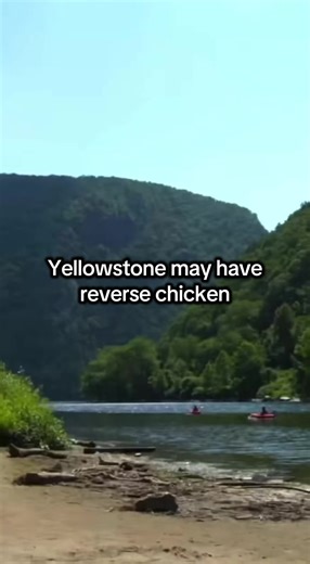 Yellowstone vs. Poconos: Animal Encounters