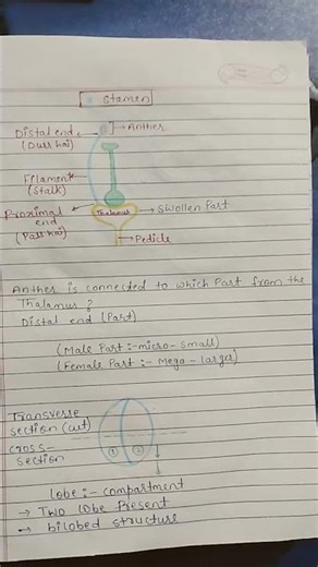 Class 12th bio students only can understand🥺🥺 #studymotivation#exampreperation#boardexam#shortvideo