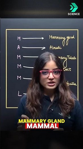 Milk Pathway in Mammary Gland Trick 🧠🔥 | 2 Min Mein Yaad | Class 12th Biology | CBSE 2026-27