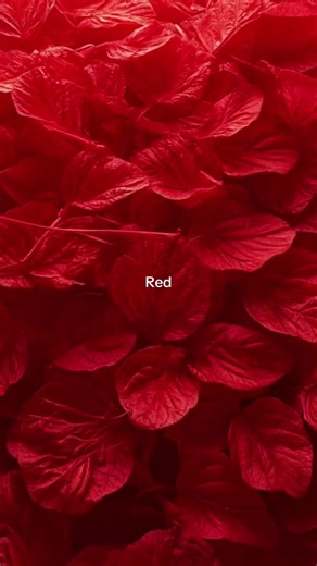 Red #red #color #colors #colorred