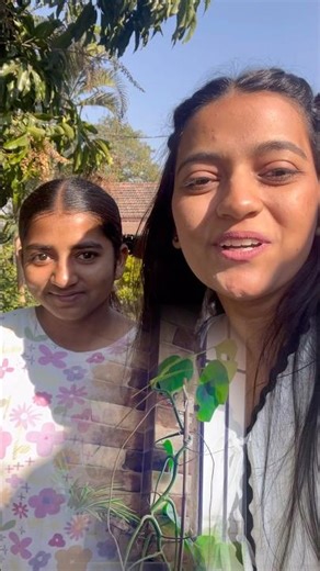 Planting Monstera Deliciosa cutting on ground | Monstera propagation update