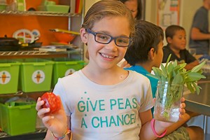 5 Ways to Create a Culture of Wellness in Your Family