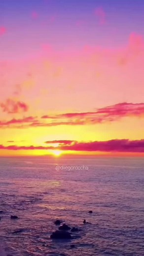 Nando Reis Espatódea