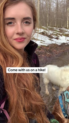 #adventure #hike #hiking #nature #naturetok #redhead #redhair #dogmom #forest #logging