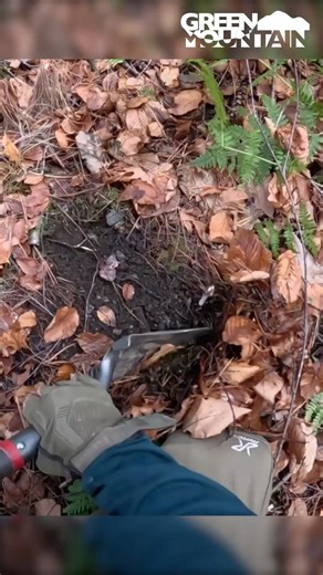 How does this happen??