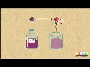 08二氧化碳的化学性质 与水的反应 碳和碳的化合物 初中化学