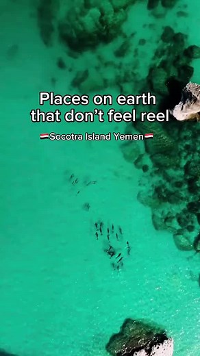 Exploring the Hidden Gem of Socotra: Sand Dunes and Unique Flora