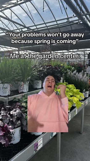 Finding Solace at the Garden Center