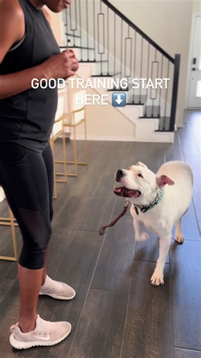 The doorbell isn’t the problem. it’s the opportunity. We teach dogs to associate the ring with calm, not chaos. Down stay. Clear timing. Calm gets rewarded. Train real-life behavior with Dr3amK9 DM “CALM” to start or book your training today. #dogtraining #dr3amk9 #dogtrainer #dogtrainingtips #katytx