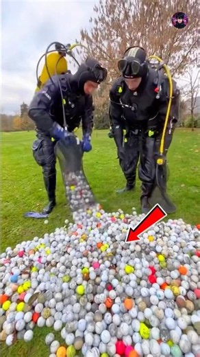 The Unique Job of a Golf Ball Retriever ⛳#shorts