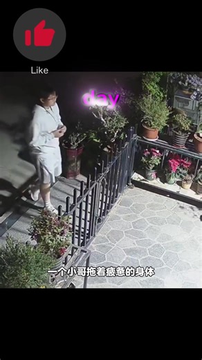 Harry: The Heartbeat of the Community