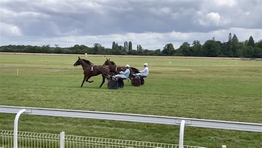 ➡️À moins d’une heure de la première course de 2 ans à Bernay, c’est l’heure des heats comme ici pour les deux pensionnaires de Philippe Allaire Melody Cool et Monzon Normand.🍀🤞 Hippodrome De Bernay Bernay | Province Courses/24H au trot