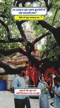 આ રાયણના વૃક્ષ પાછળ છુપાયેલી છે એક ચમત્કારિક કથા | siddheshwari mata temple kada | kada sadhi mata
