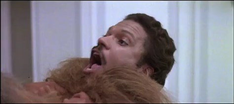 Star Wars: Episode V - The Empire Strikes Back (1980)