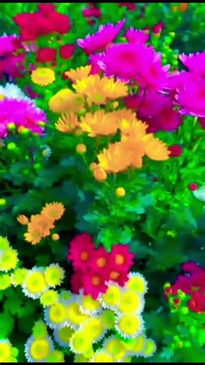 Telwat E Quran Qari Abdul Basit #تلاوة_قرآن #trrndingshorts