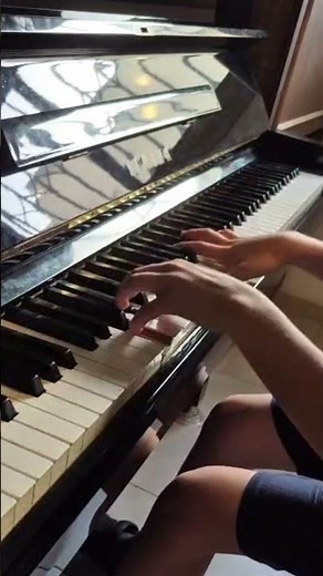 The Wellerman #piano